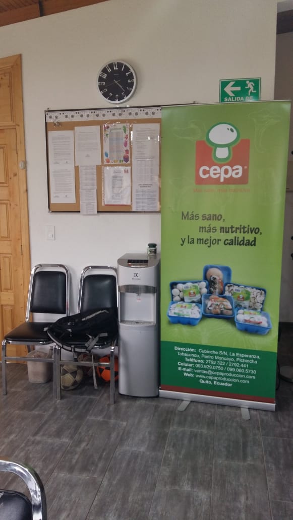 whatsapp image 2025 11 24 at 11.53.38 am