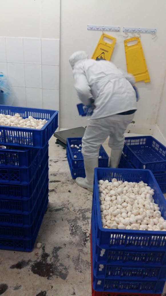 whatsapp image 2025 11 24 at 11.53.42 am